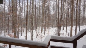 Une scène de forêt enneigée avec une rambarde en bois.