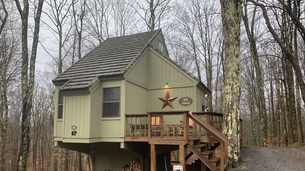 Une cabane dotée d’une terrasse en bois et d’un escalier, entourée d’arbres.