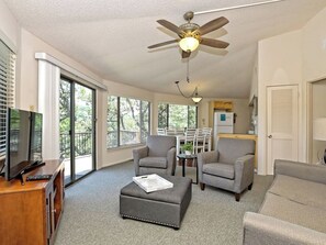 Smart-TV, Kamin, DVD-Player