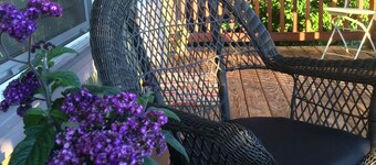 Designer Owned House on Vibrant Williams Avenue near Mississippi