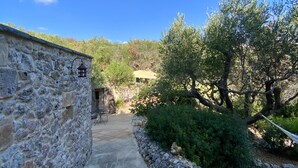 A stone pathway leading to a rustic building with a small window and a door, surrounded by olive trees and a clear blue sky. - AMMARE BY THE SEA         (Marina di Novaglie)