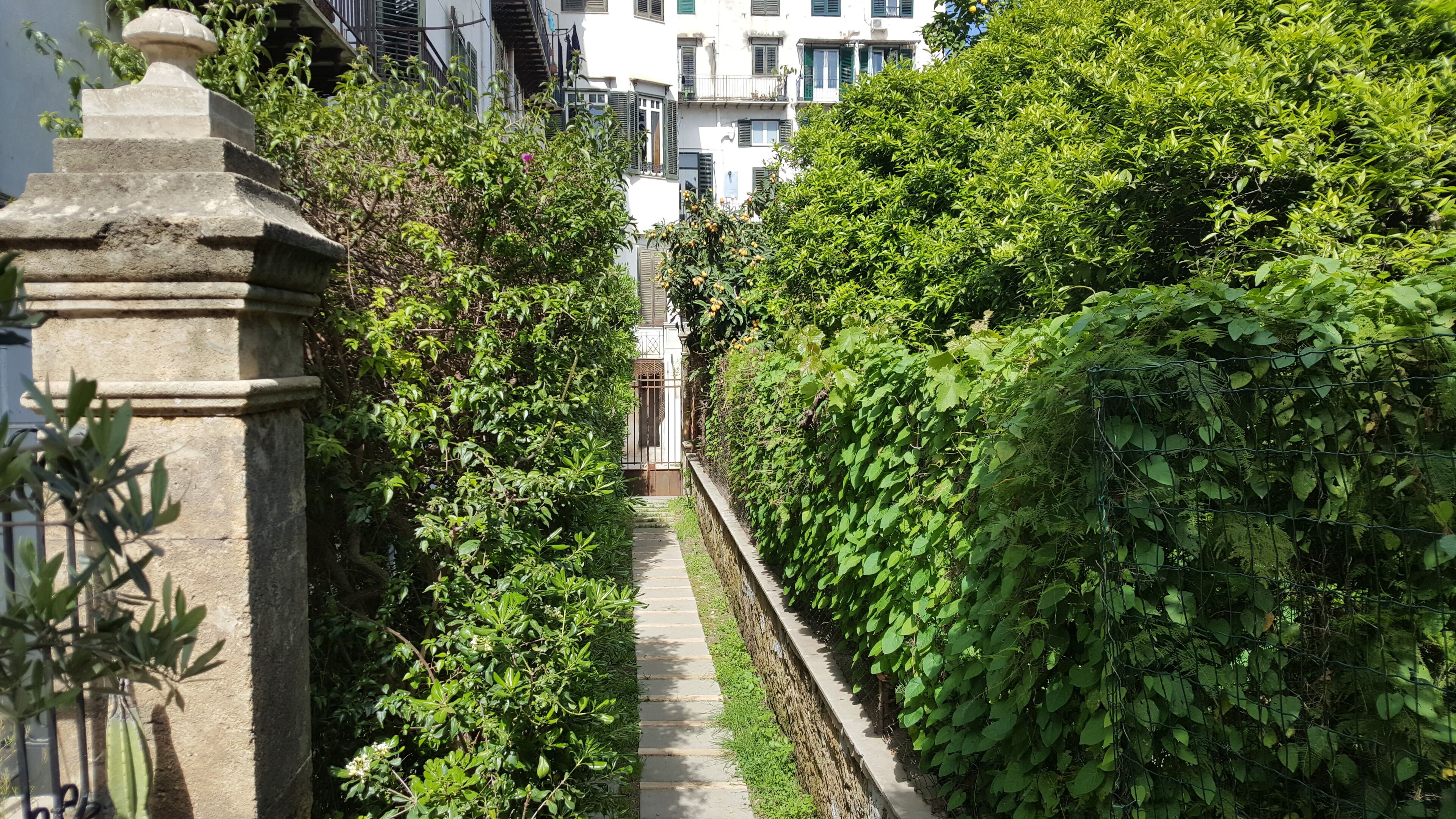 Enceinte de l’hébergement