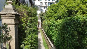 Un étroit sentier bordé d’une végétation luxuriante et d’une balustrade en pierre, qui mène à un bâtiment doté de nombreuses fenêtres et de balcons.