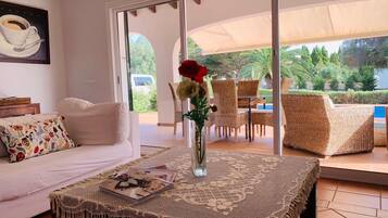 智能電視、壁爐、DVD 播放機