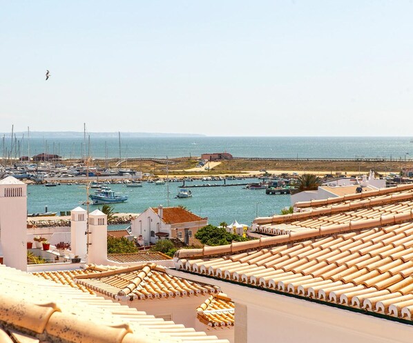 Vista desde la propiedad