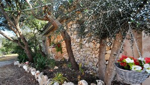 Un muro in pietra con un cesto di fiori appeso, circondato da ulivi e un sentiero sterrato.