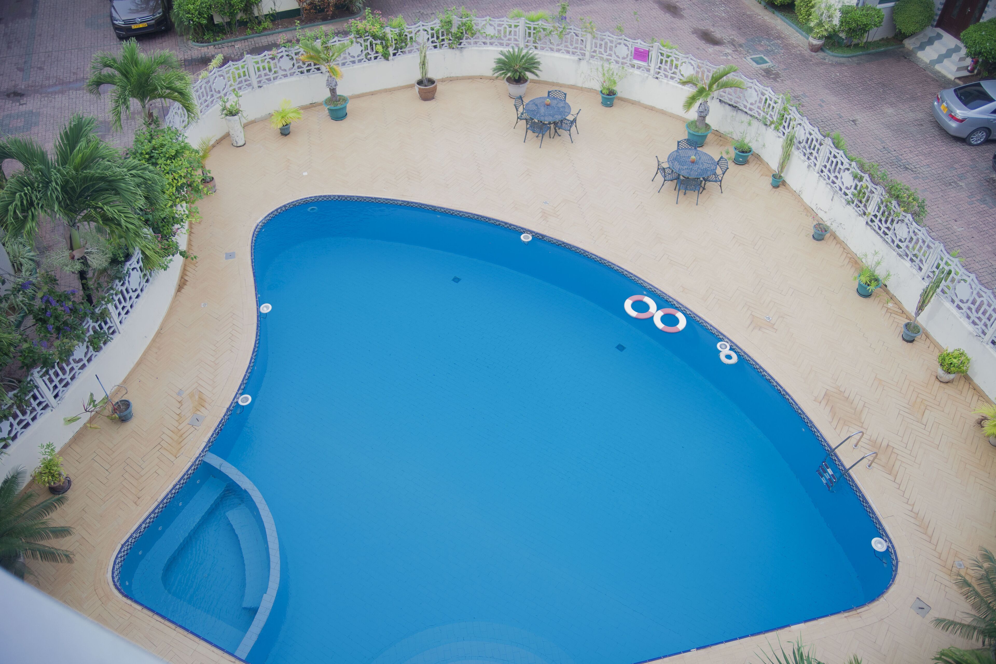 An outdoor swimming pool with a white fence, palm trees, and outdoor furniture.