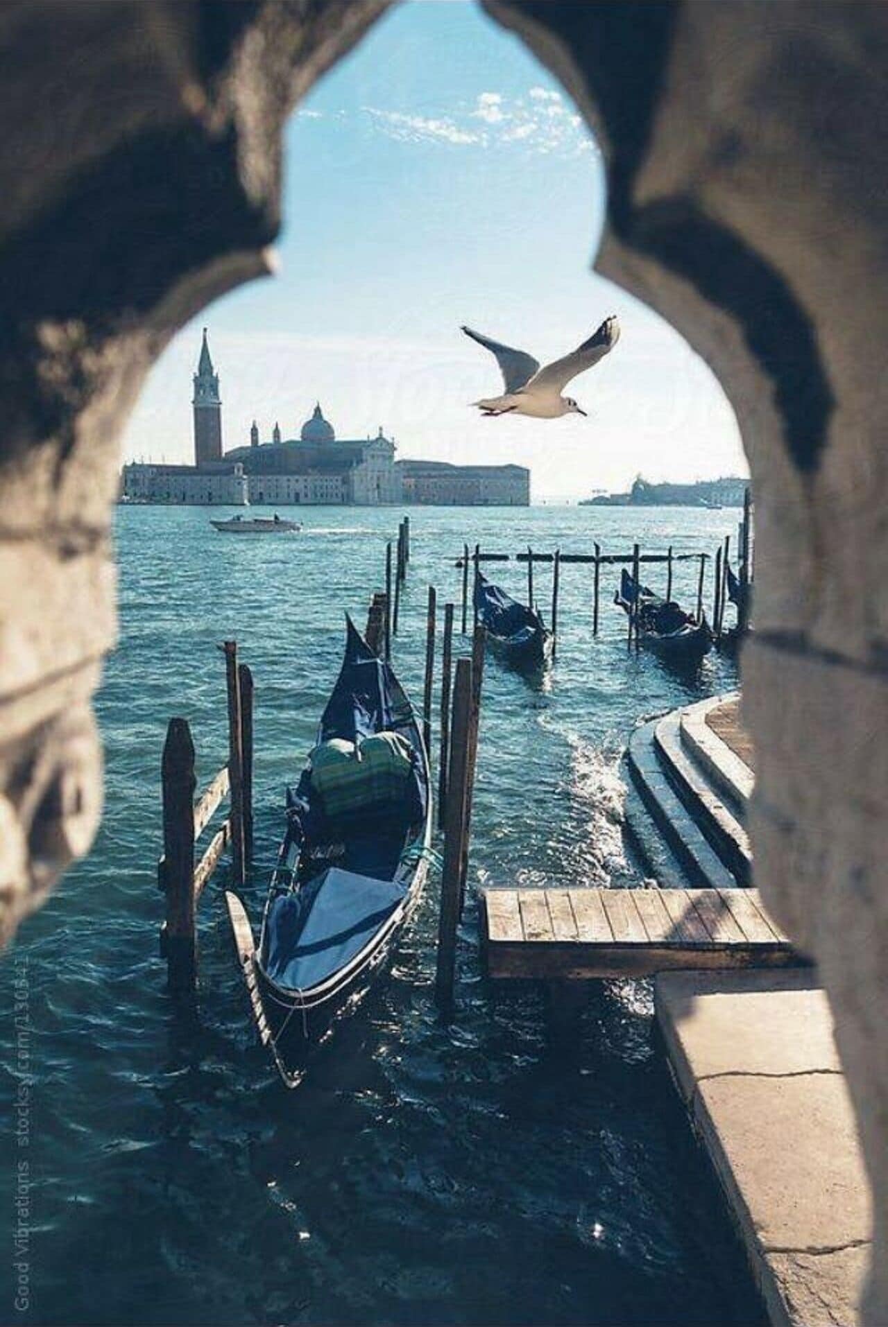 A canal with gondolas docked at wooden piers, a seagull flying overhead, and a historic building in the background.