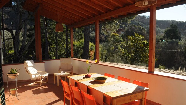 A wooden table with orange chairs and a potted plant on a terrace with a view of trees and hills. - Villa on the Tuscan hills near Florence (Castelfranco Piandiscò)