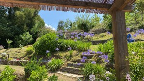 A garden with stone steps, various plants, and a wooden pergola structure. - UNA RARA AVIS - solar house with sea views (Porto do Son (A Coruña))