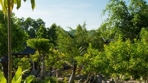 Un chemin de pierres serpente à travers un jardin luxuriant, où poussent différentes espèces de plantes et d’arbres.