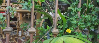 Little Home Hostel Nha Trang