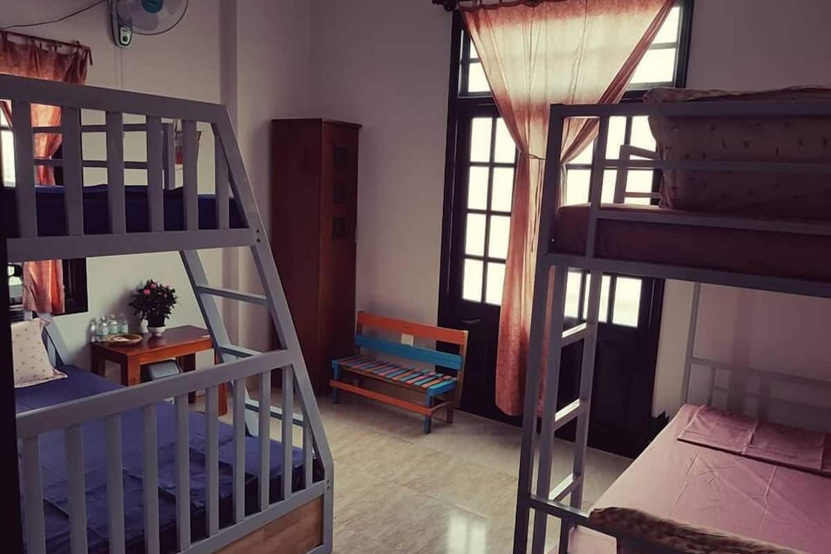 Ein Zimmer mit Etagenbetten, einem kleinen Tisch mit Pflanze, einer Bank und einem Fenster mit Vorhängen.
