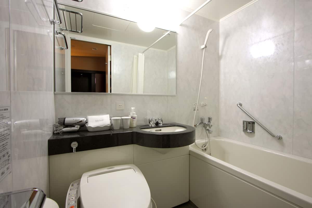 free toiletries, hair dryer, slippers, electronic bidet