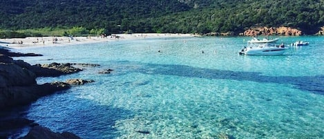 Playa en los alrededores