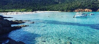 Villa 250 m walk from the sea and the village in wooded surroundings