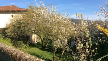 Ărea da propriedade