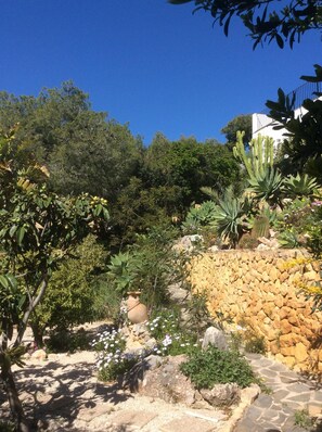 Terrein van de accommodatie