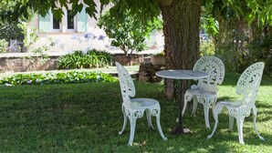 Un jardín con una mesa y cuatro sillas bajo un árbol.