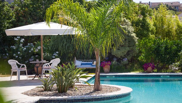 Zona de piscina con una palmera, una sombrilla blanca y un área de descanso con sillas y una mesa.