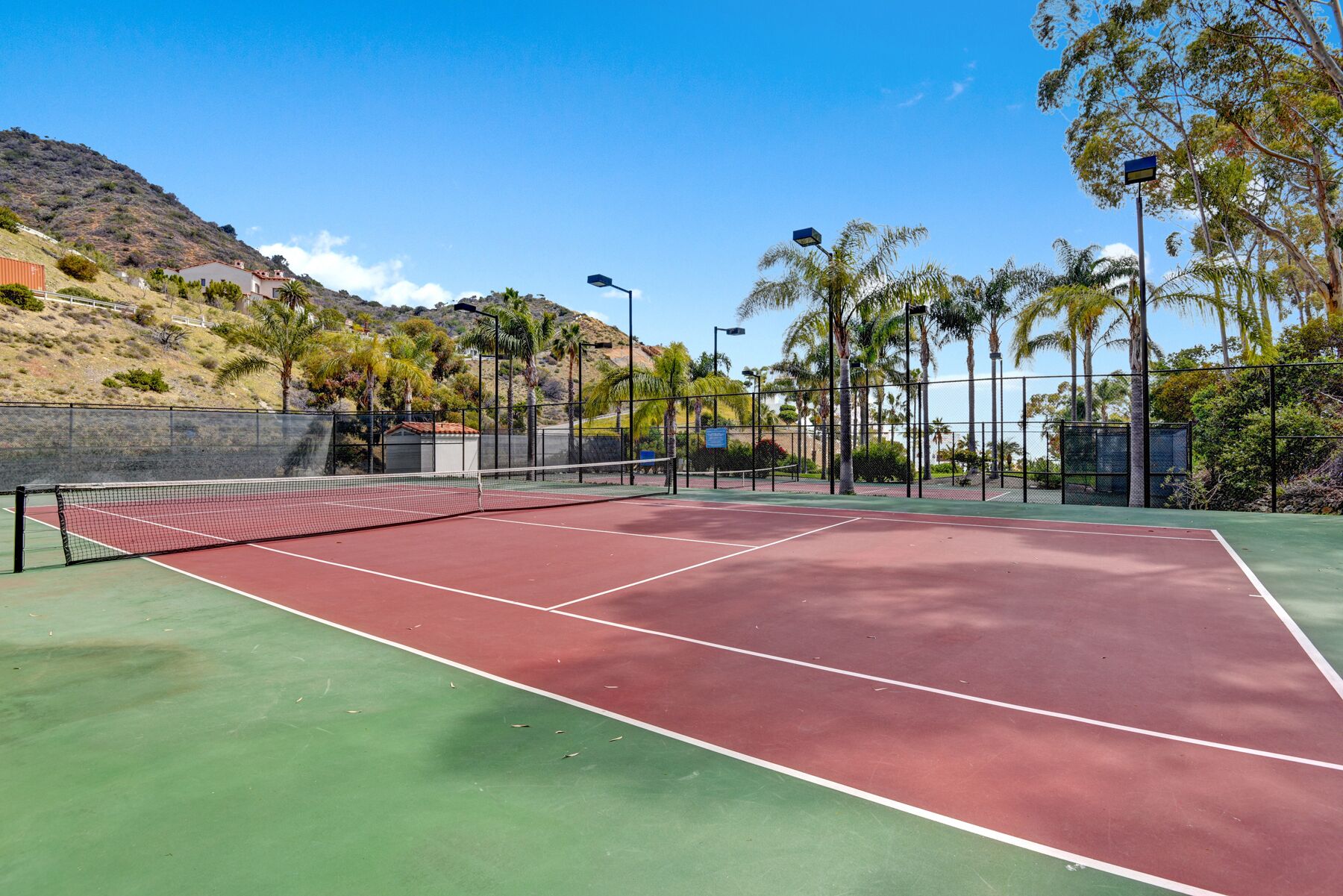 Una cancha de tenis al aire libre con red, rodeada de una valla, palmeras y un paisaje montañoso al fondo.