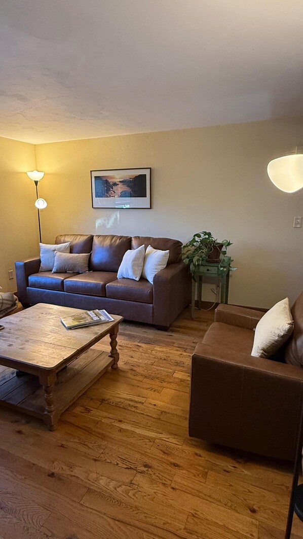 Smart TV, DVD player, books, music library