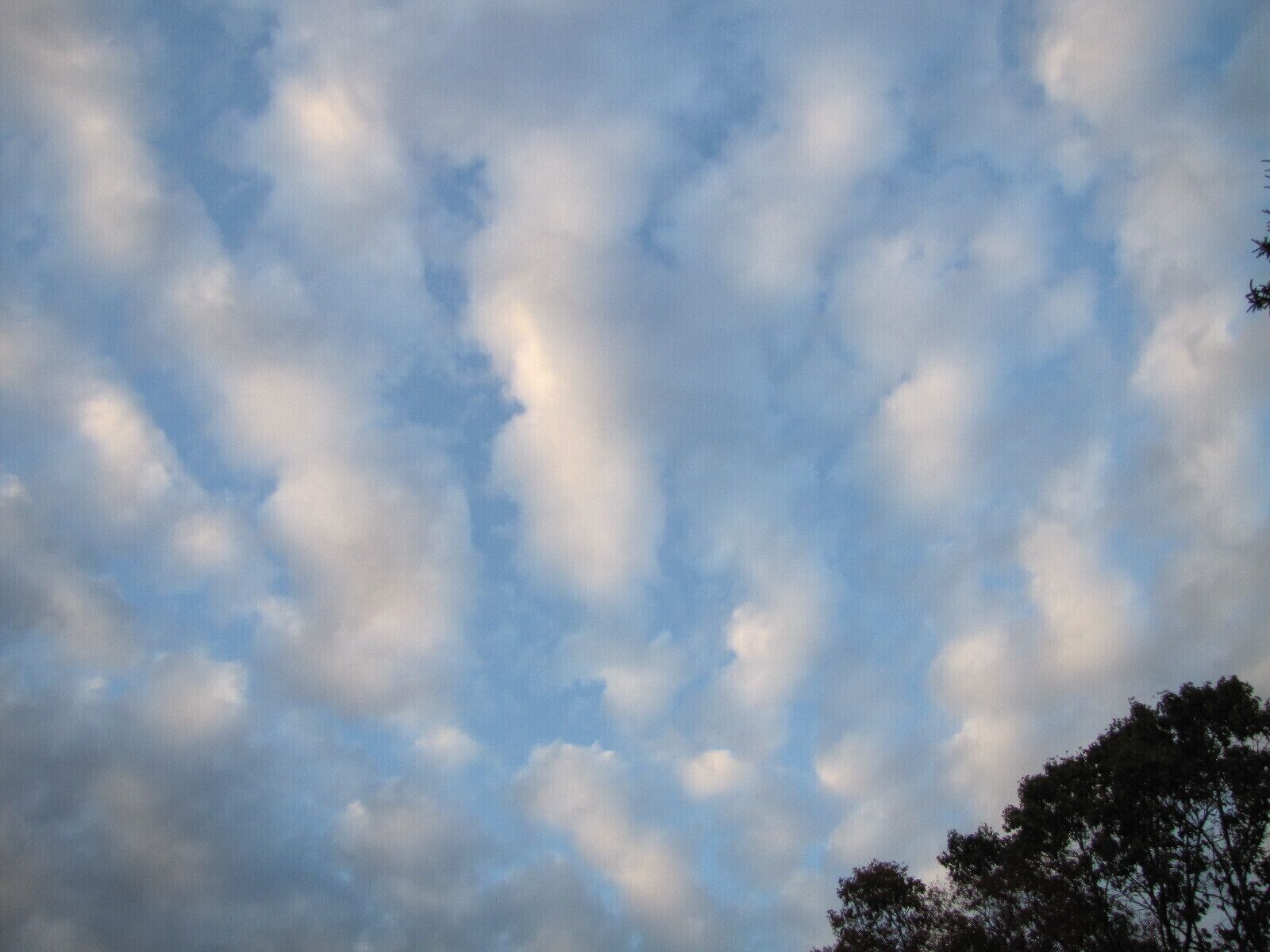 There's a saying in KY, How's the weather? Ask me in 5 minutes! 