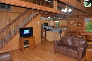 TV, fireplace, DVD player, books