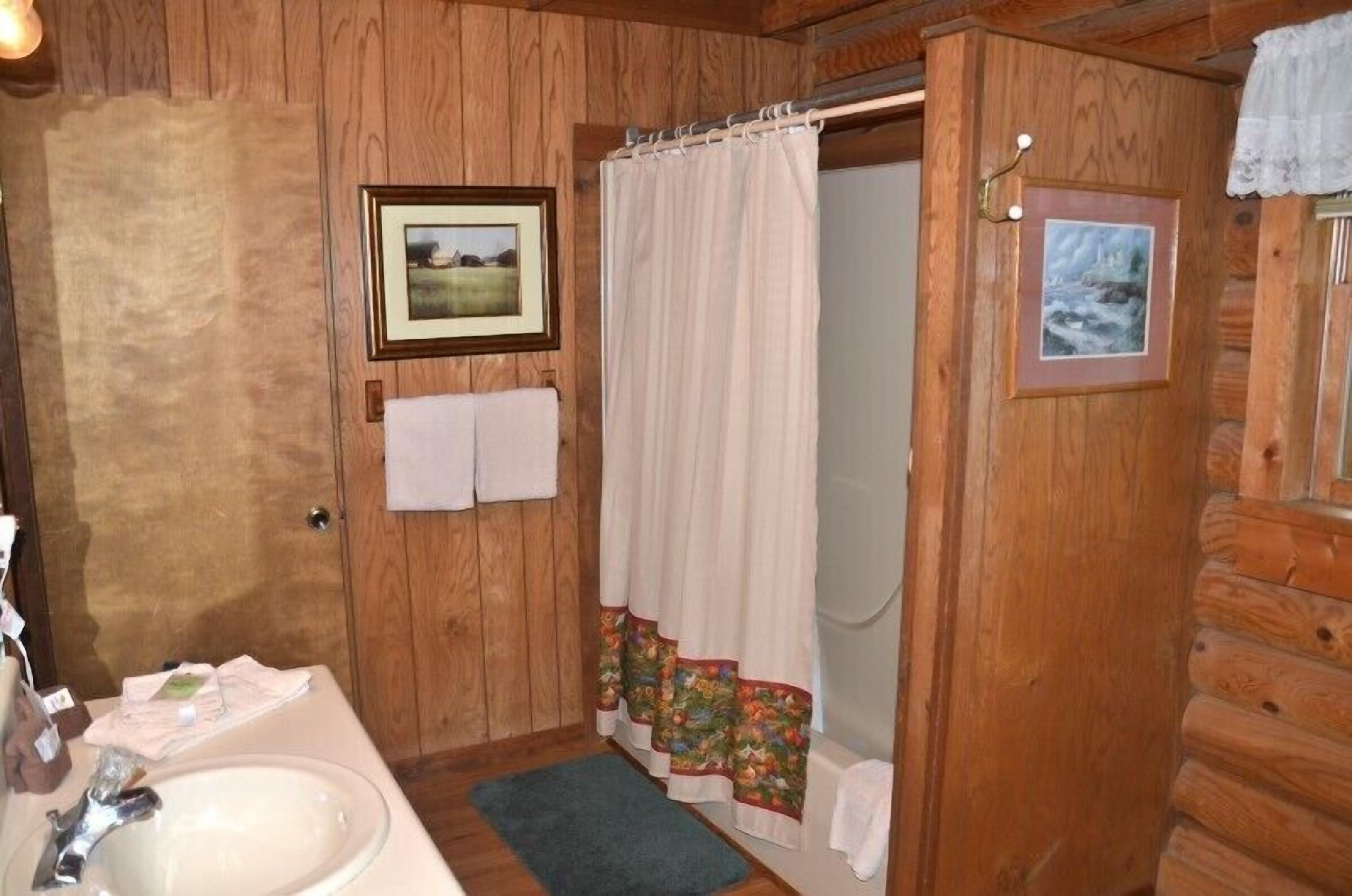 Baño de cabaña de madera con lavamanos, dos cuadros enmarcados y cortina de ducha.