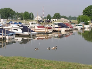 Marina