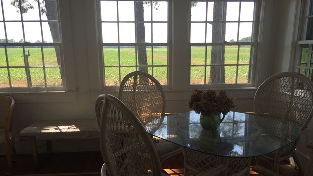 A dining area with a glass table surrounded by wicker chairs, a bench, and a vase with dried flowers. Large windows offer a view of a green field.