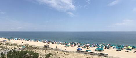 Accommodatie ligt op het strand, ligstoelen