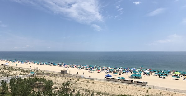 On the beach, sun-loungers