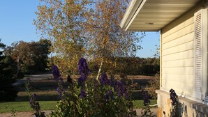 Una casa con jardín, flores púrpuras y césped.