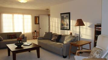 Smart TV, fireplace, books, stereo