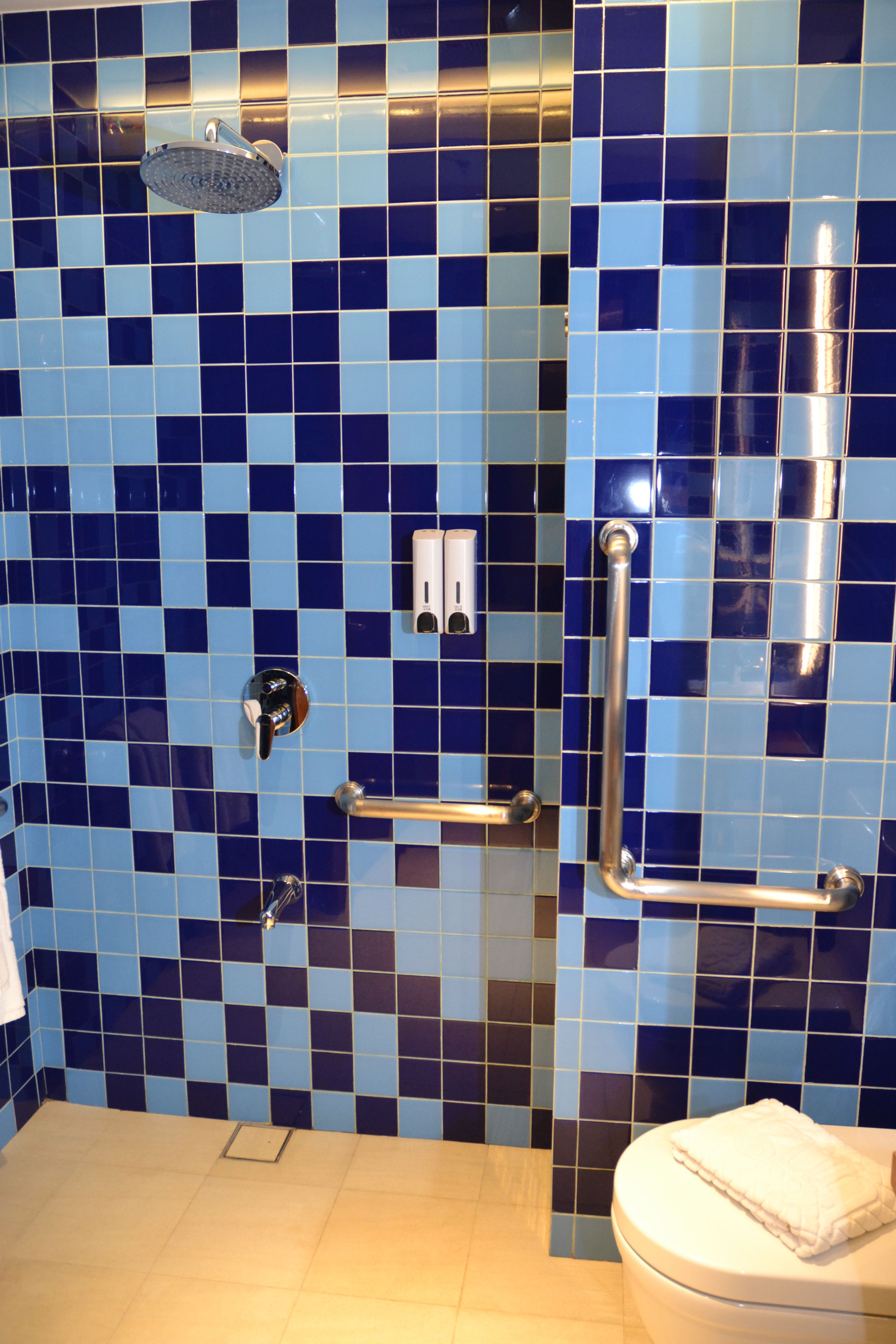 A bathroom with blue and black checkered tiles, a showerhead, a handrail, a towel rack, and a toilet.