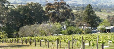 Vista desde la propiedad