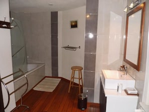 Combined shower/bathtub, free toiletries, hair dryer, towels