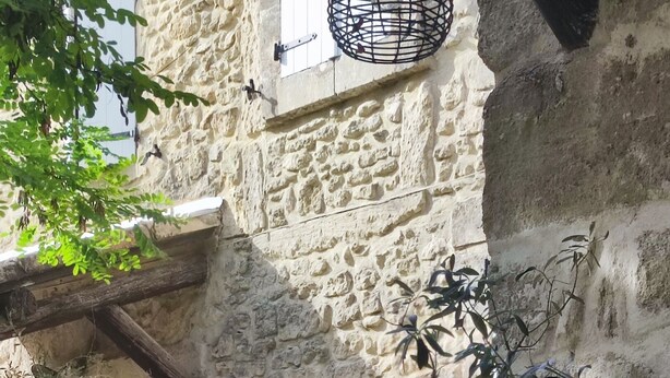 Un bâtiment en pierre avec une grande plante en pot au premier plan.