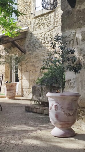 Un bâtiment en pierre avec une grande plante en pot au premier plan.
