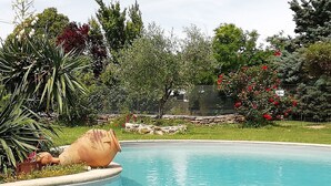 Une piscine bordée de pierres, entourée de différentes plantes et arbres.