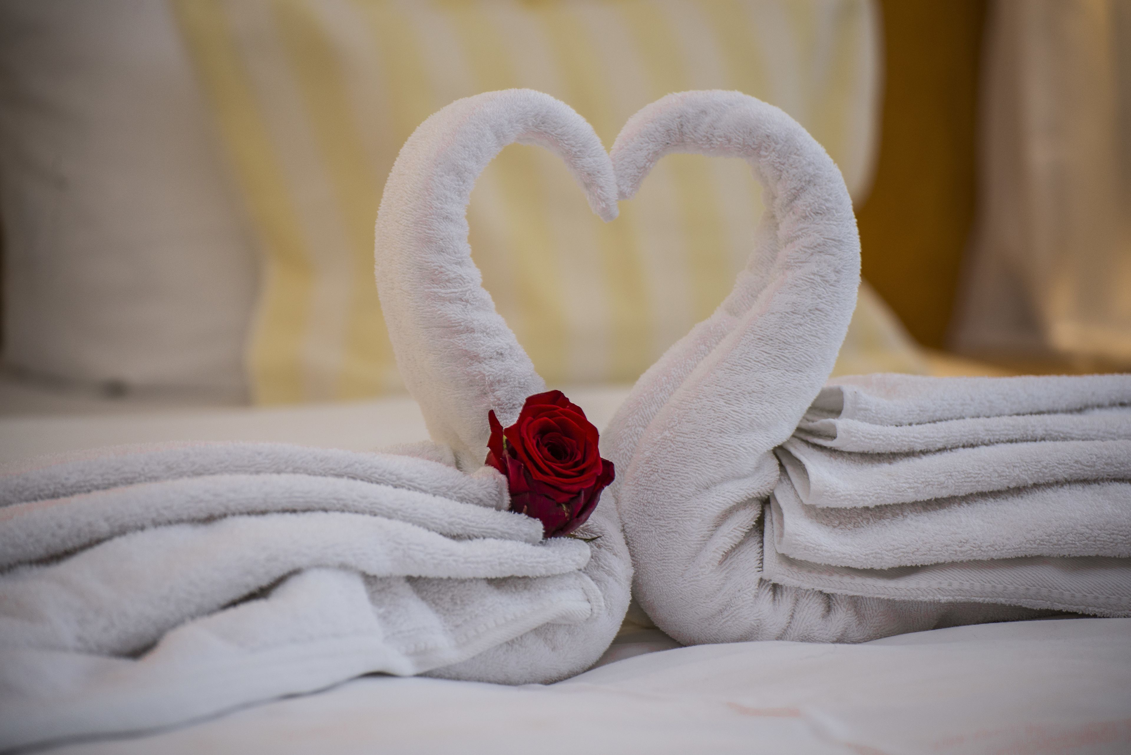 Een bed met netjes gevouwen witte handdoeken, gerangschikt in de vorm van een hart, met een rode roos in het midden en een gestreept kussen op de achtergrond.
