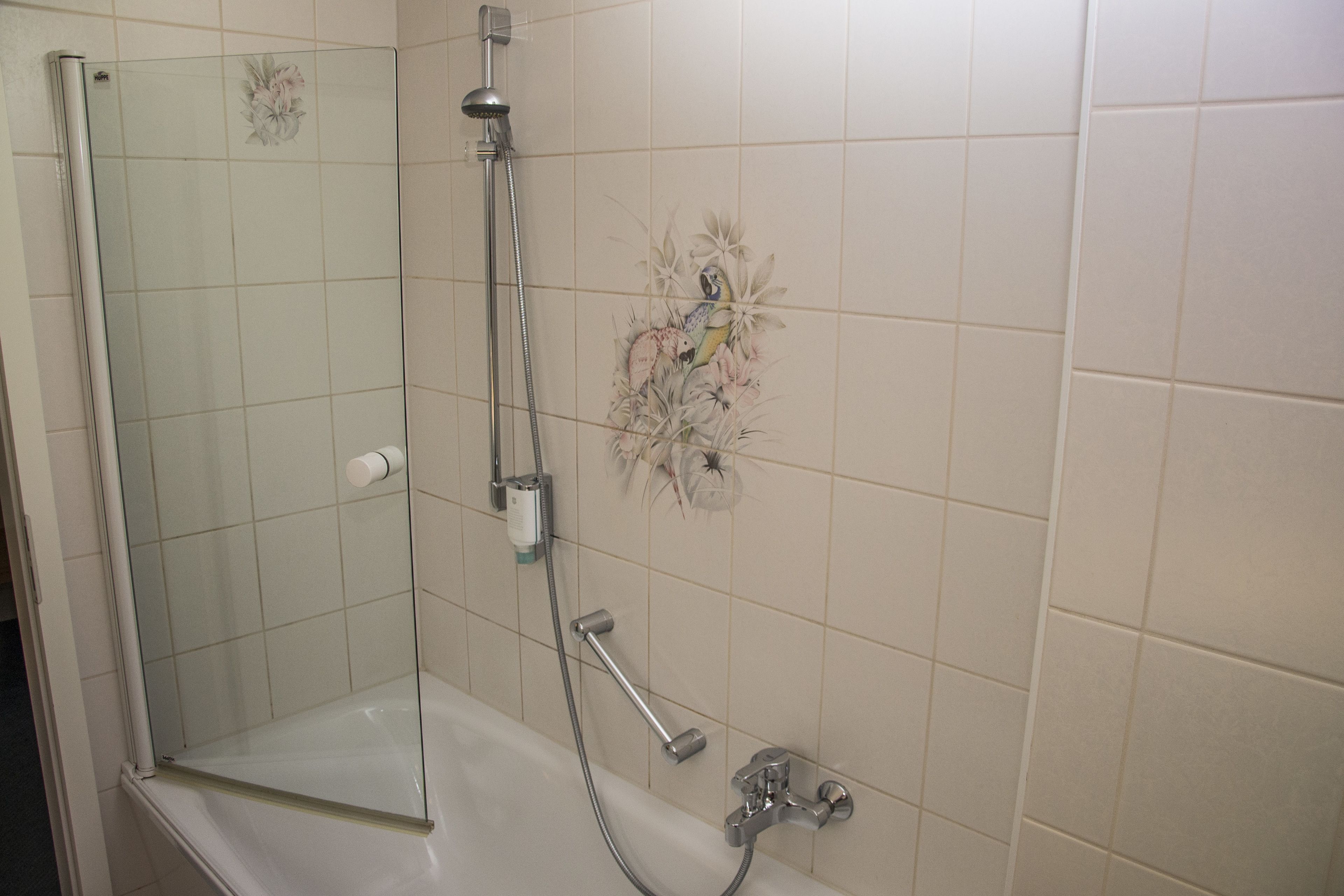 Eine begehbare Dusche mit Glastrennwand, einer Handbrause und einer separaten Bedienung.