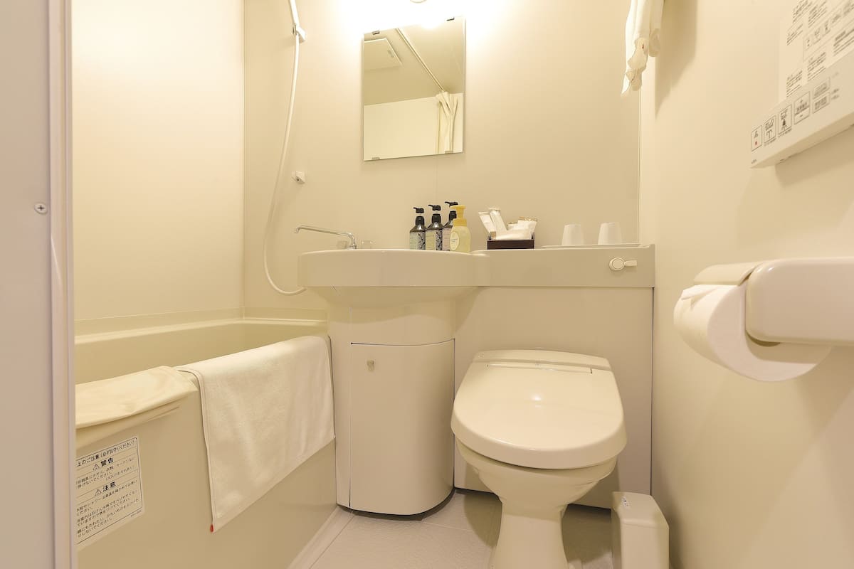 free toiletries, hair dryer, slippers, electronic bidet