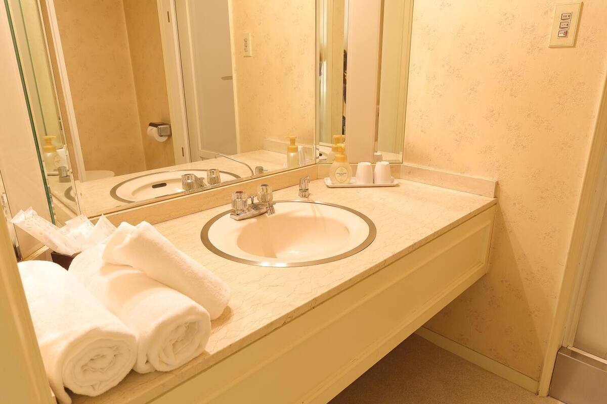 free toiletries, hair dryer, slippers, electronic bidet