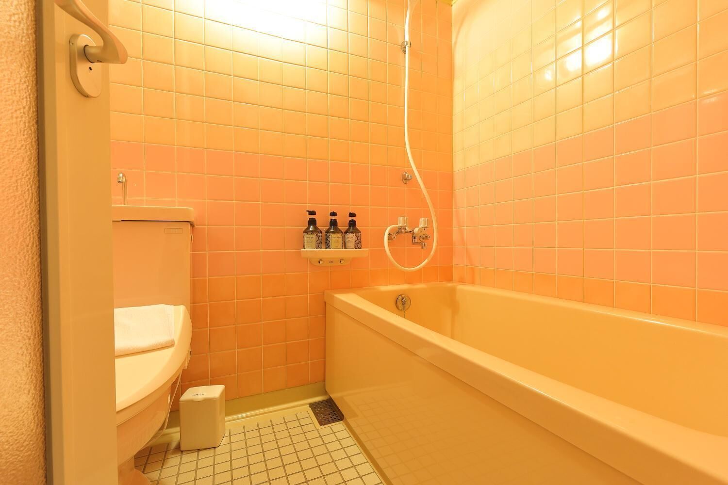 x twin room, non smoking (with free parking) | bathroom | free toiletries, hair dryer, slippers, electronic bidet