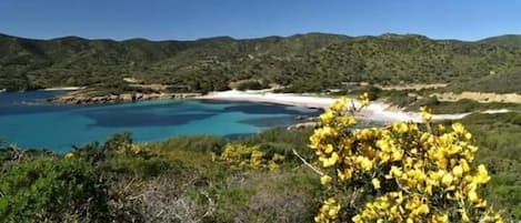 A coastal landscape with a beach, clear blue waters, and green hills in the background.
