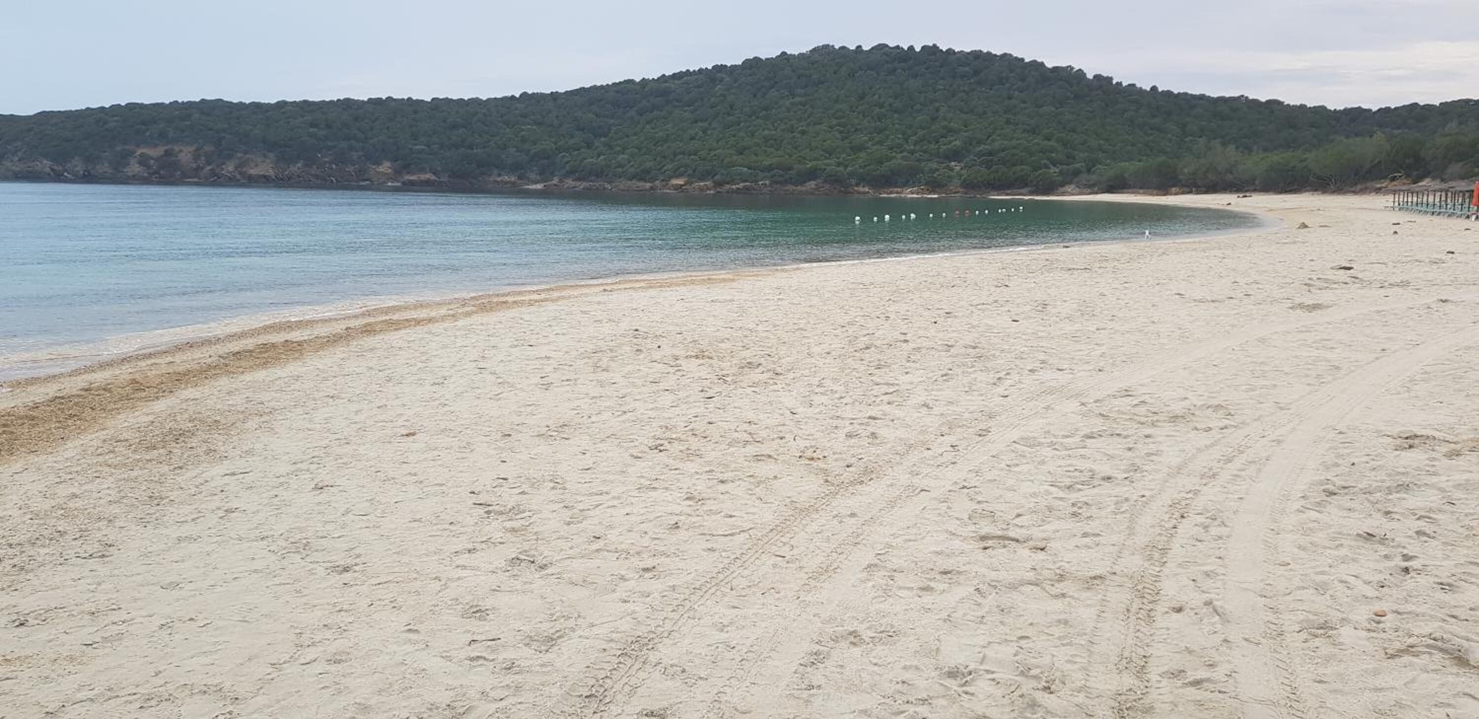 A beach with a sandy shore, a clear blue sea, and a forested hill in the background.