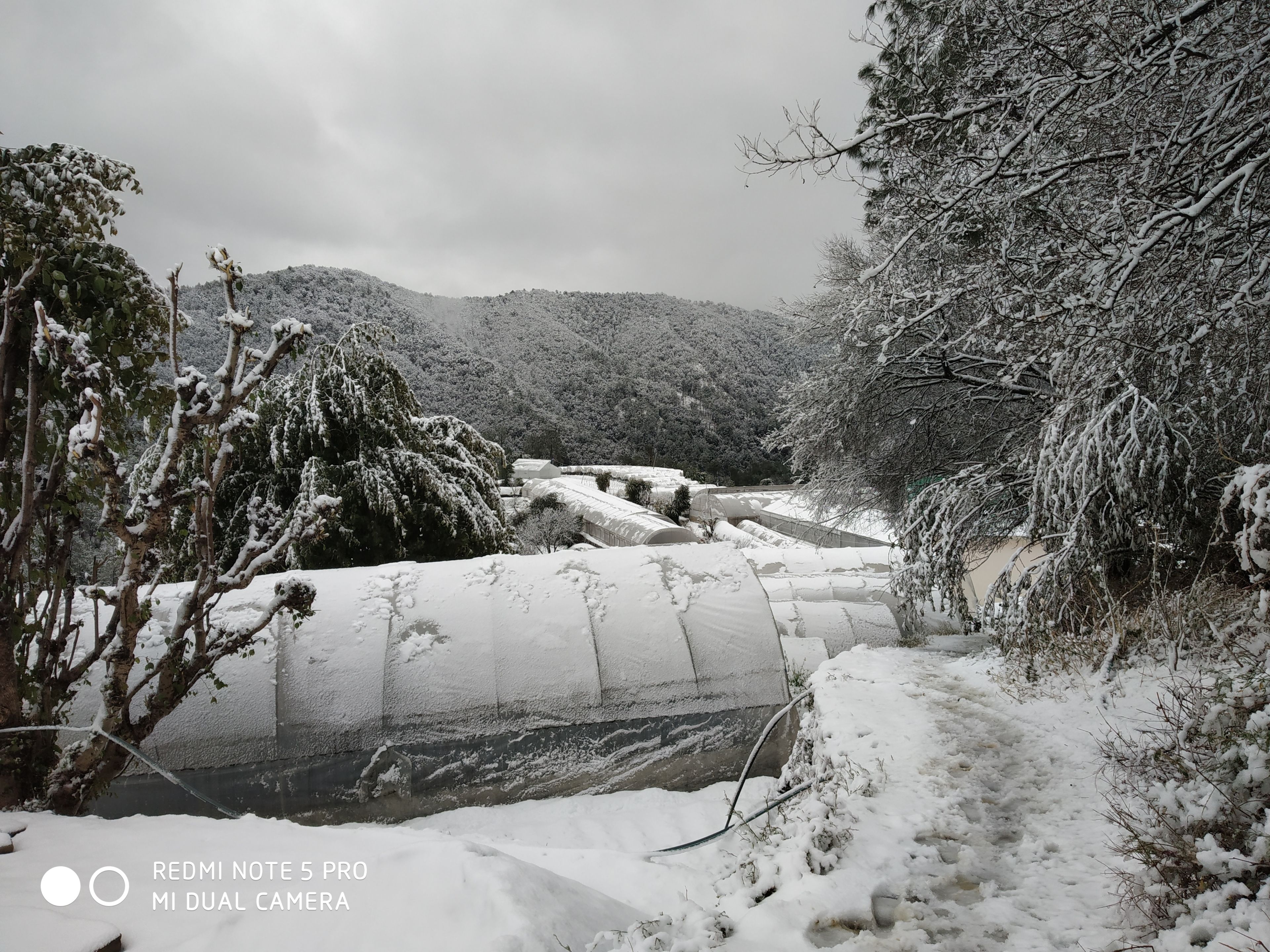 Paisagem coberta de neve com um rio, árvores e um edifício ao fundo.