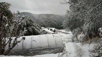 Paisagem coberta de neve com um rio, árvores e um edifício ao fundo.